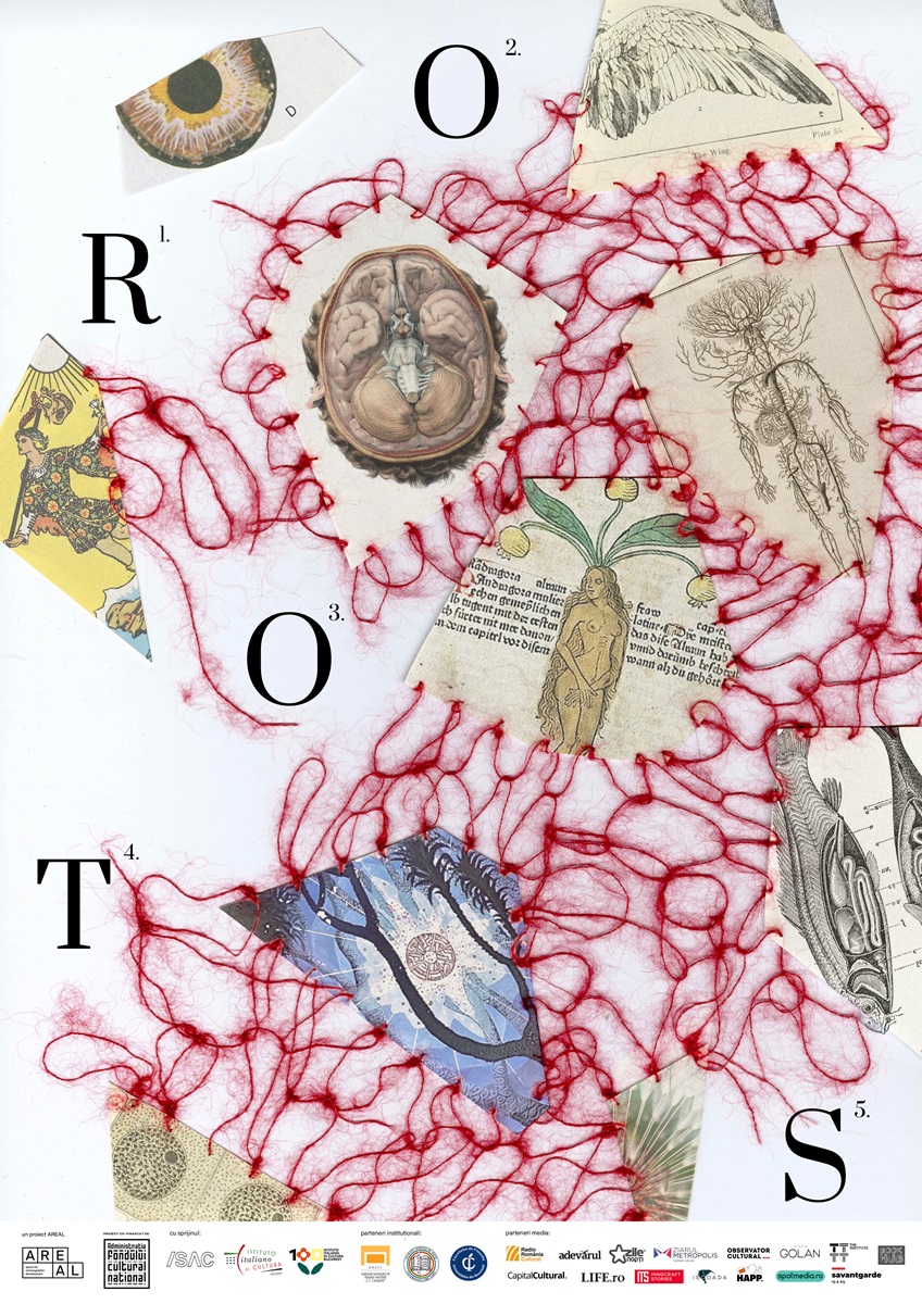 ROOTS | AREAL